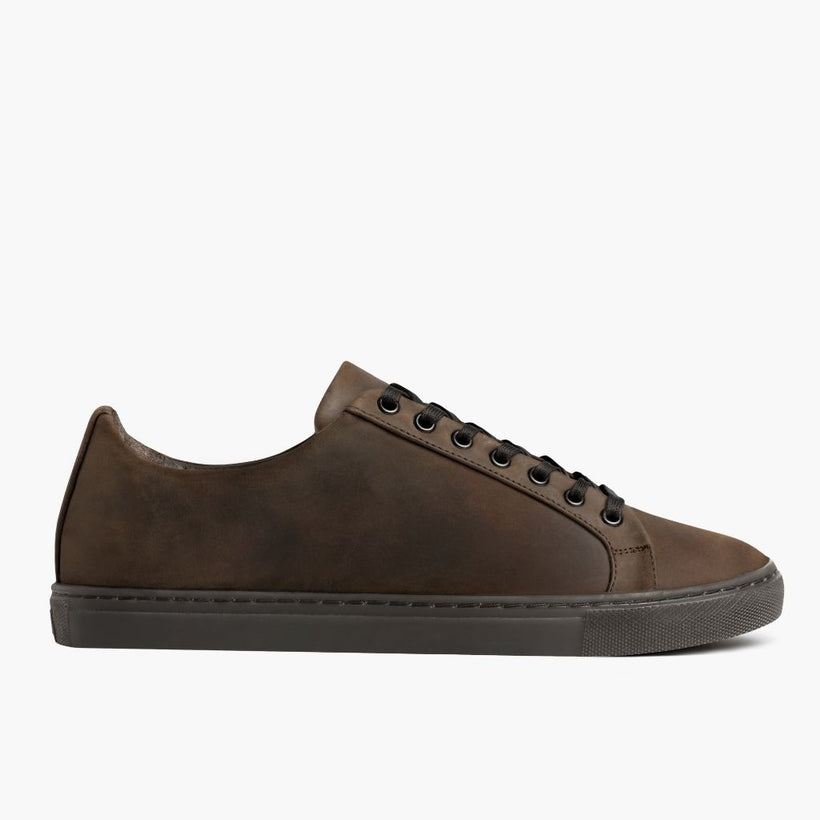 Premier Low Top Tobacco Leather Sneakers レディース